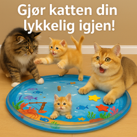 🐾 AquaPaws™ – Avkjølende moro for katten din i sommer!