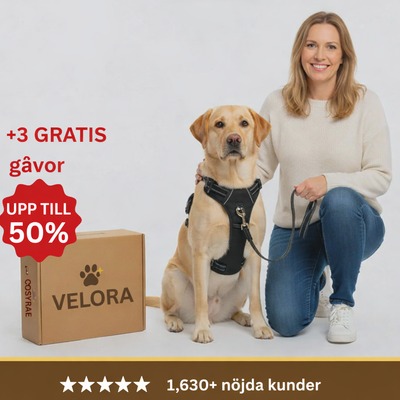 Velora™ Anti-drag sele