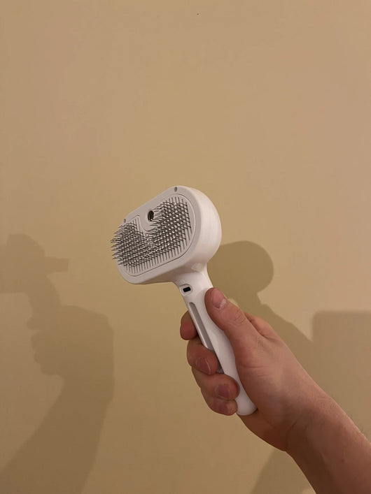 La Brosse Spray – Combattez la mue de printemps en toute simplicité